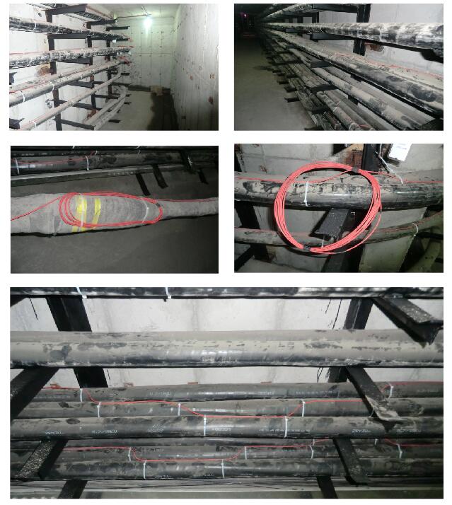 1636945158998176.jpg QQ截圖20211115105403.jpg